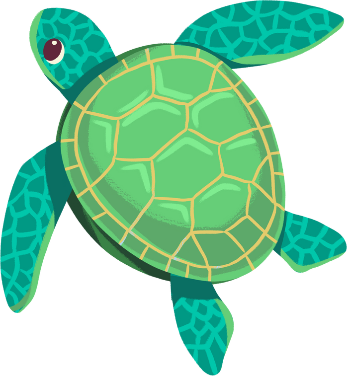 Sea Turtle Marine
